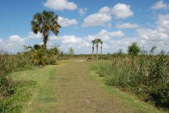 Everglades Tours