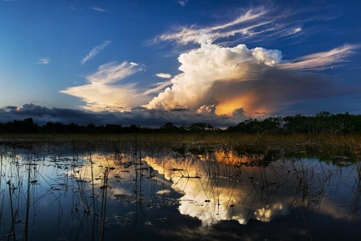 Sawgrass Recreation Park landscape
