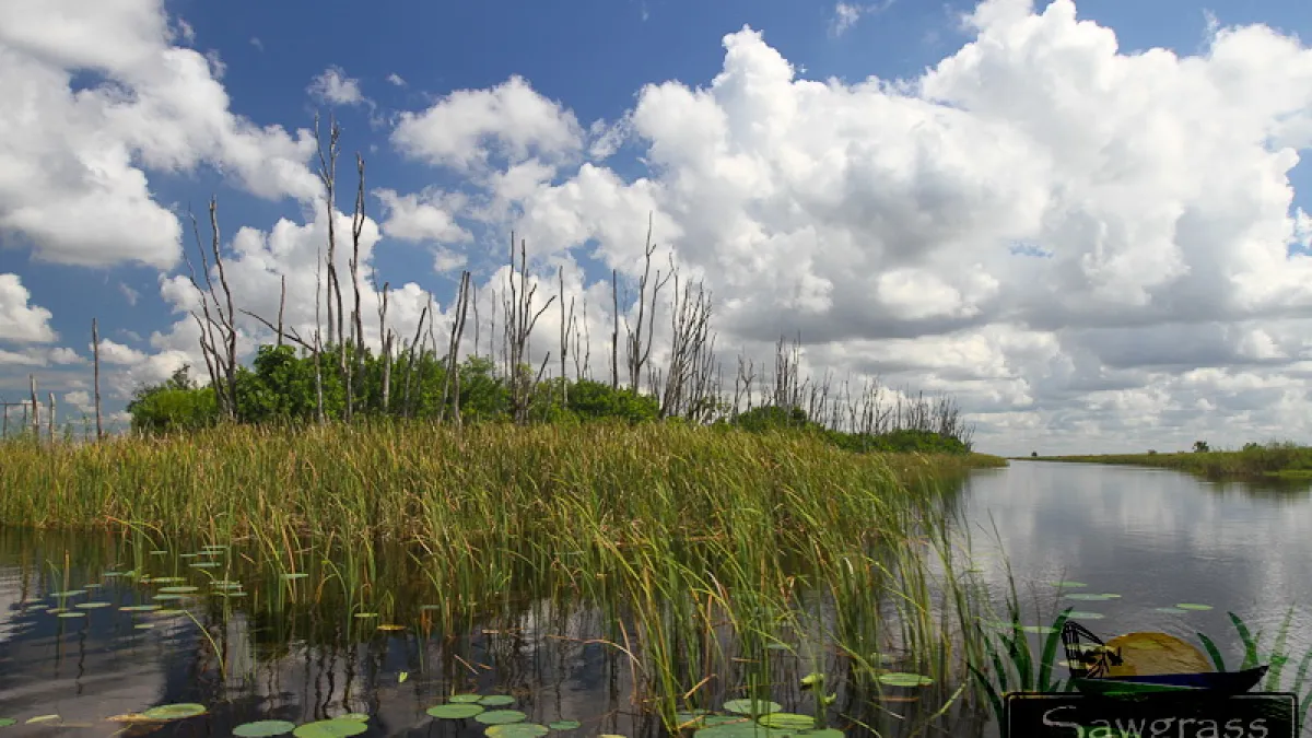 Scenic Everglades