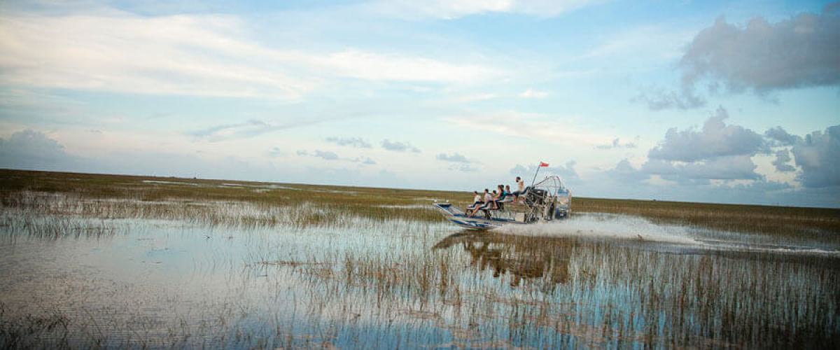 Airboat in the Everglades