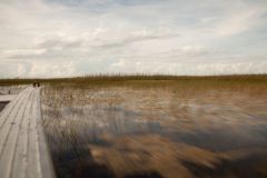 Everglades Airboat Tours