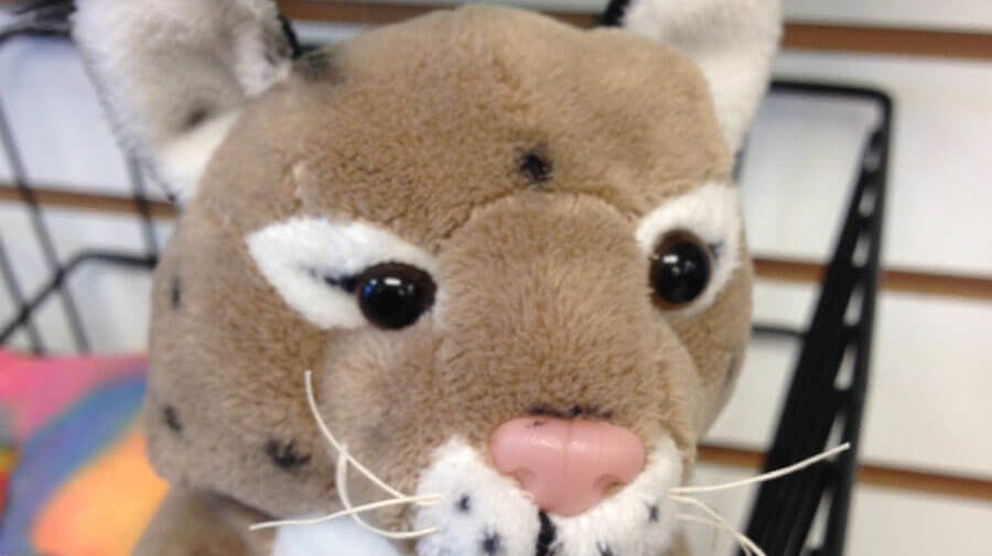 Everglades Tours Bobcat Stuffed Animal