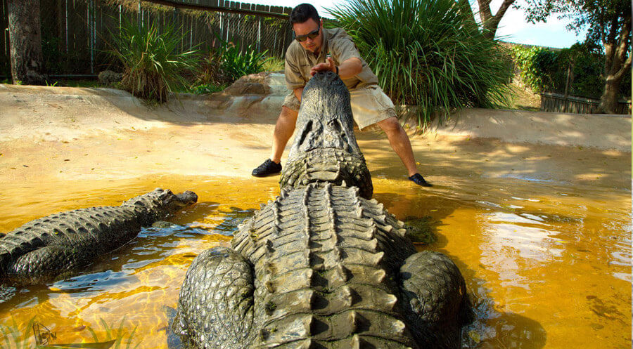 Sawgrass Recreation Park Gator Jon with Alligators