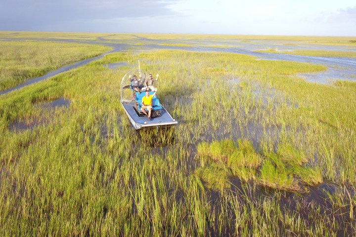 Florida Everglades Tours Group Waving above