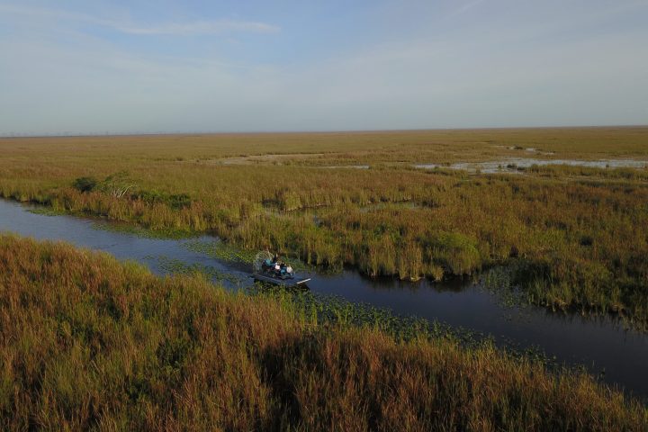 a person standing on a lush green field