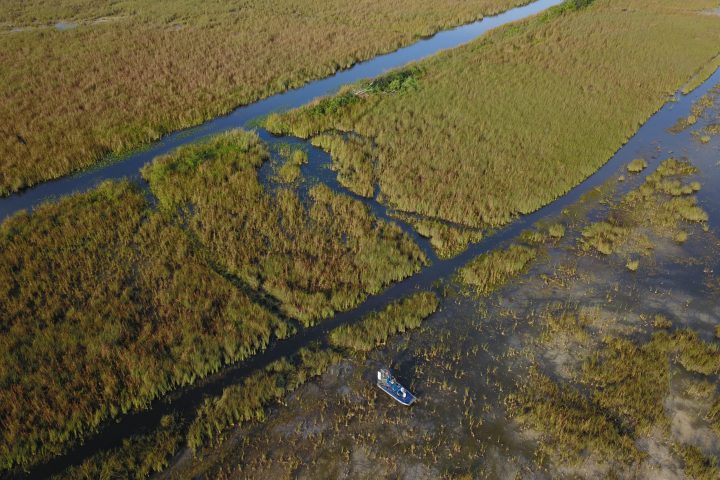 a close up of a green field