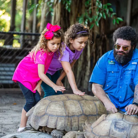 a person sitting on top of a turtle