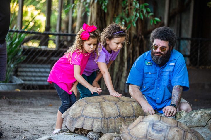 a person sitting on top of a turtle