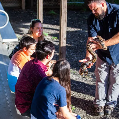 a group of people sitting at a zoo