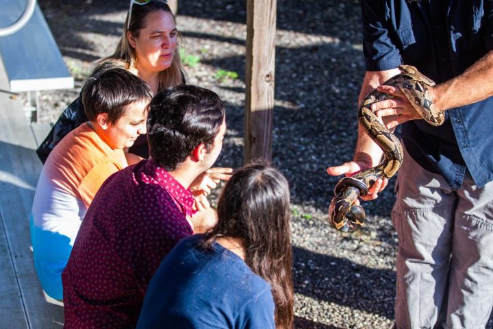 a group of people sitting at a zoo