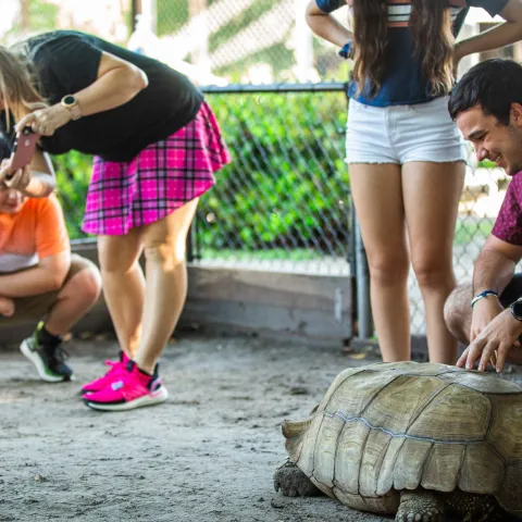 a group of people sitting at a zoo