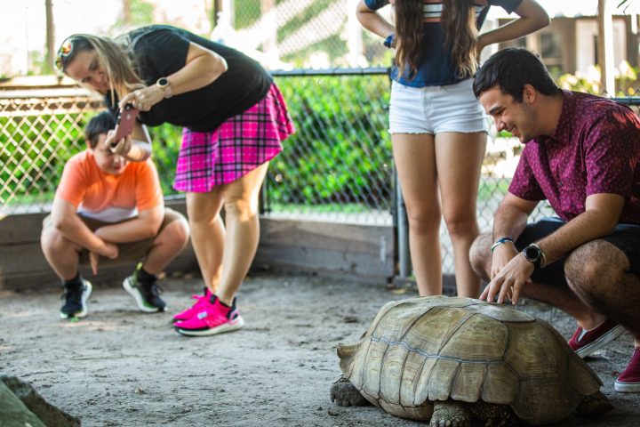 a group of people sitting at a zoo