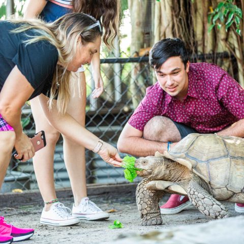 a little girl sitting at a zoo