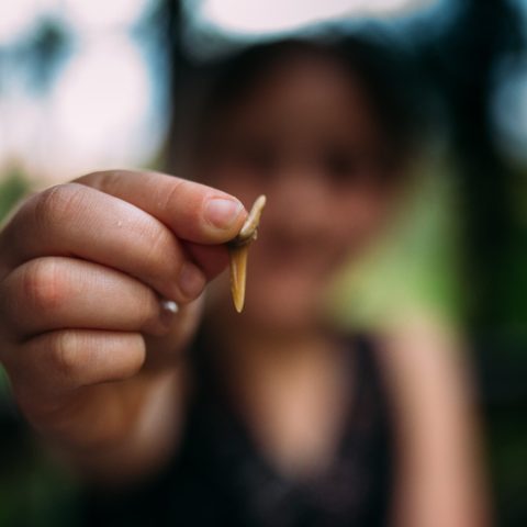 a close up of a hand