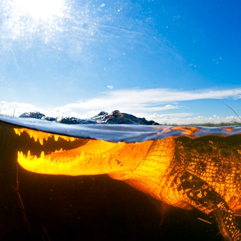 a person with a sunset in the background