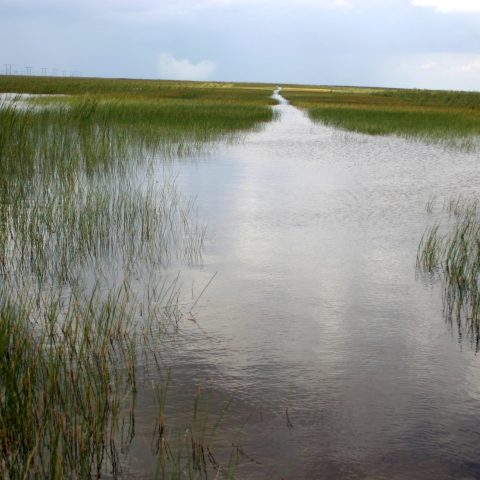 a pond next to a body of water