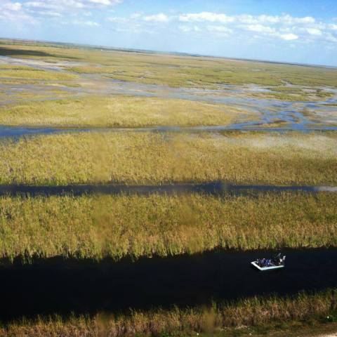 a person sitting on a bench in a grassy field