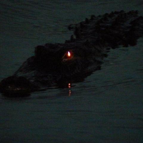 a sunset over a body of water