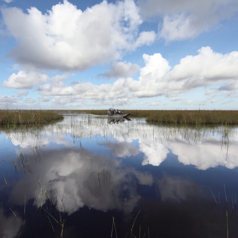 a group of clouds in the rain