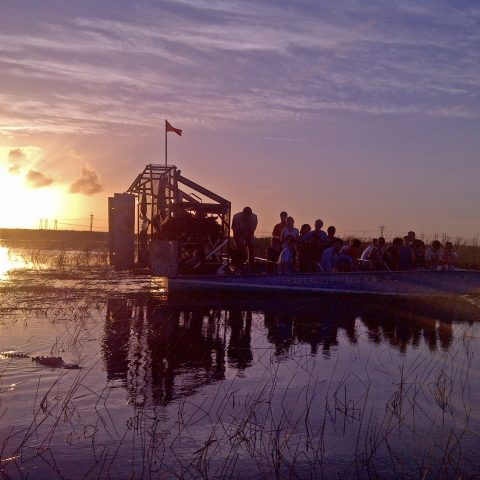 a bridge over a body of water