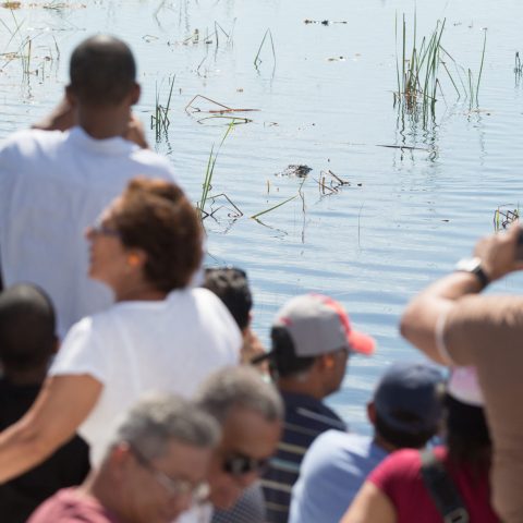 a group of people standing in front of a crowd