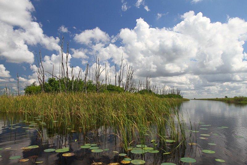 a pond next to a body of water
