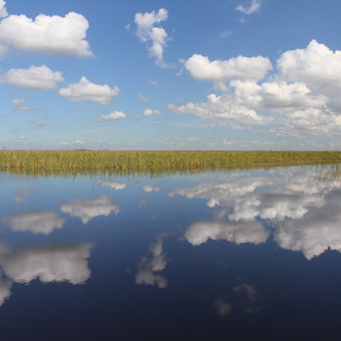 a group of clouds in the sky
