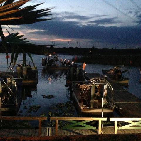 a group of palm trees next to a body of water