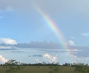 a rainbow over a body of water