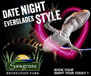 Alligator in front of neon heart promotes Sawgrass Recreation Park's Everglades night tour.