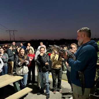 Man holds small alligator as a crowd watches at dusk.