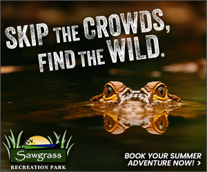 Crocodile eyes above water with text: 'Skip the crowds, find the wild.' Sawgrass Recreation Park ad.