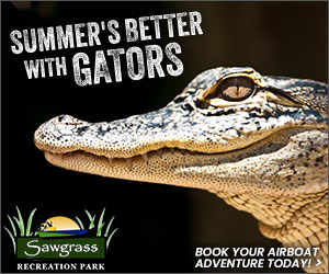 Close-up of an alligator with text promoting Sawgrass Recreation Park.