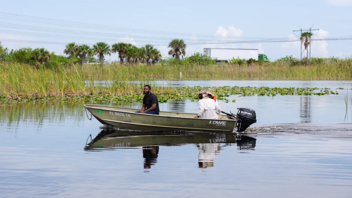 Two people in a motorboat on a calm lake with reeds and palm trees.